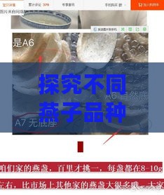 探究不同燕子品种与燕窝品质的关系：全面解析燕窝来源与选购指南