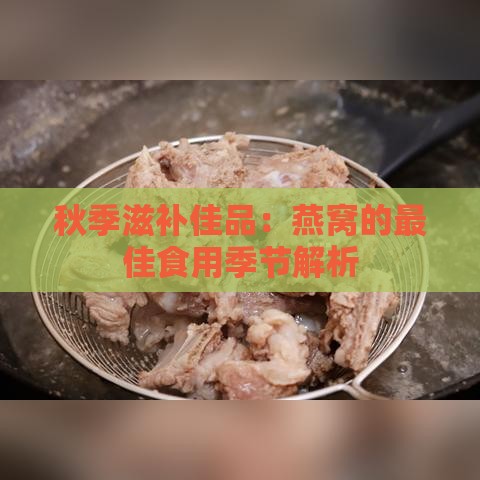 秋季滋补佳品：燕窝的更佳食用季节解析