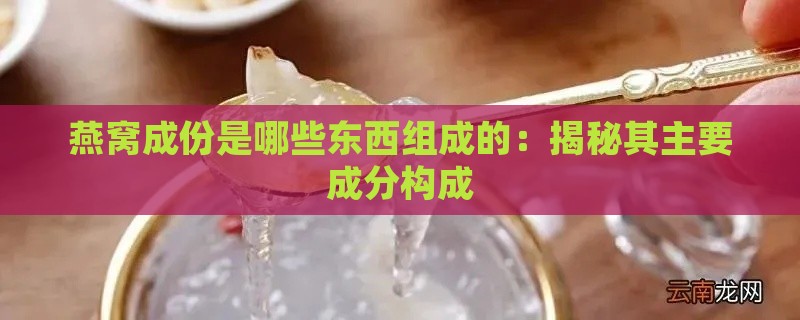 燕窝成份是哪些东西组成的：揭秘其主要成分构成