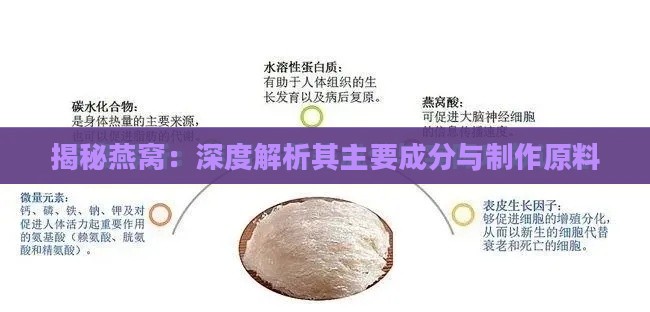 揭秘燕窝：深度解析其主要成分与制作原料