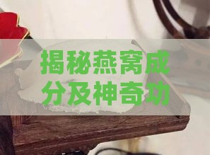 揭秘燕窝成分及神奇功效：滋养身体的美容圣品