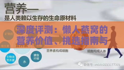 深度评测：懒人燕窝的营养价值、挑选指南与食用注意事项