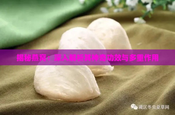 揭秘燕窝：深入解析其神奇功效与多重作用