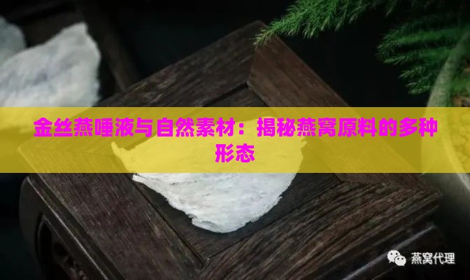 金丝燕唾液与自然素材：揭秘燕窝原料的多种形态