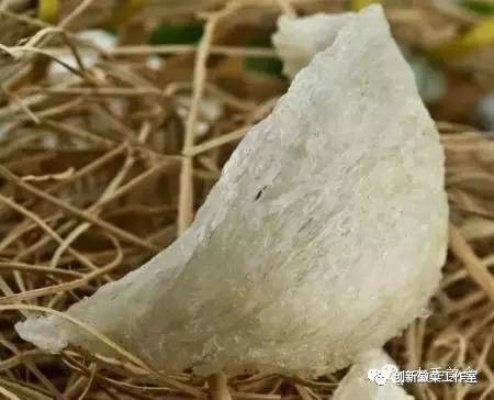 金丝燕唾液与自然素材：揭秘燕窝原料的多种形态