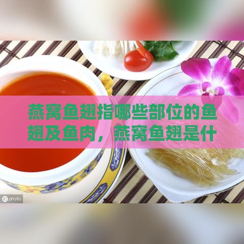 燕窝鱼翅指哪些部位的鱼翅及鱼肉，燕窝鱼翅是什么，其营养价值解析