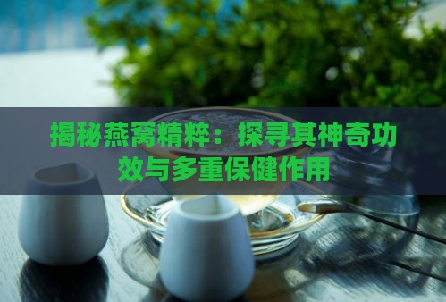 揭秘燕窝精粹：探寻其神奇功效与多重保健作用