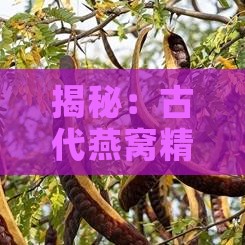 揭秘：古代燕窝精华——四大产地探秘