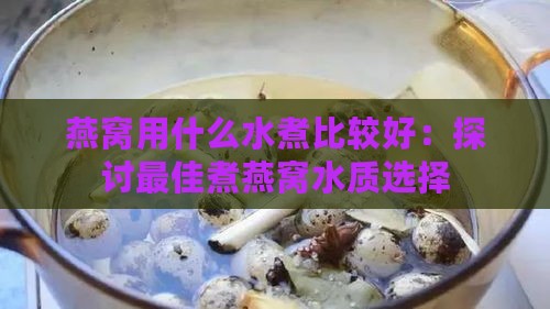 燕窝用什么水煮比较好：探讨更佳煮燕窝水质选择