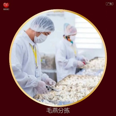 即食燕窝多样化加工技术与食用方法解析