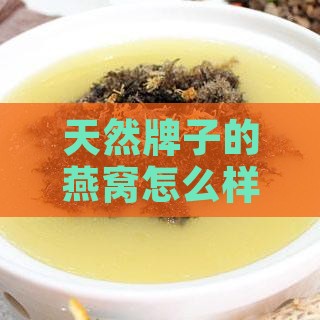 天然牌子的燕窝怎么样：口感、食用方法及功效作用解析