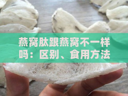 燕窝肽跟燕窝不一样吗：区别、食用方法及优劣比较