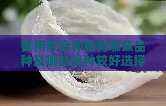 食用燕窝种类有哪些品种及哪些品种较好选择