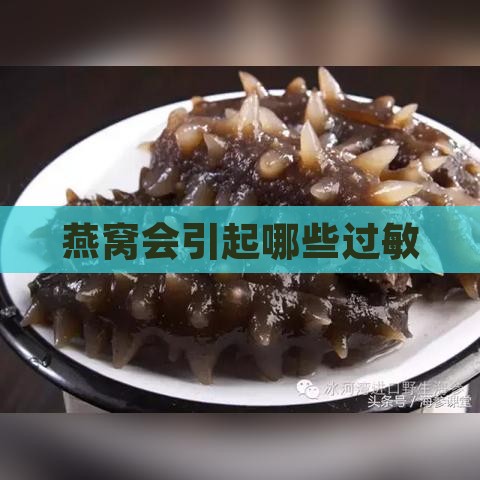 燕窝会引起哪些过敏