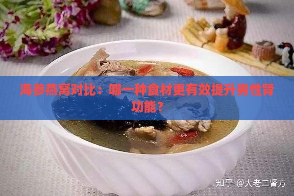 海参燕窝对比：哪一种食材更有效提升男性肾功能？