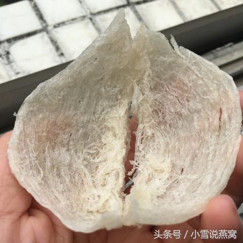 全面盘点：各大精品燕窝生产基地一览及选购指南