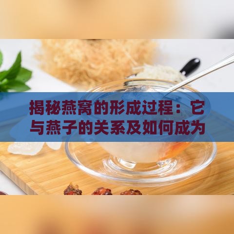 揭秘燕窝的形成过程：它与燕子的关系及如何成为珍贵滋补品