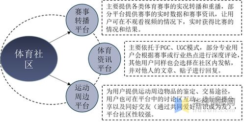 揭秘：市场上首个大燕窝的起源与发展历程