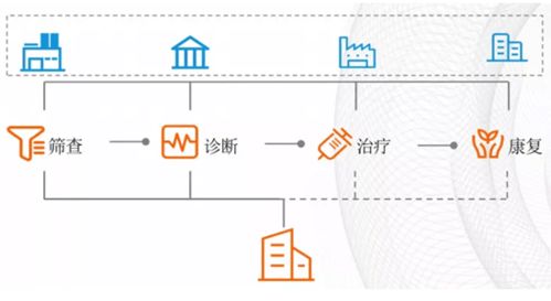 揭秘：市场上首个大燕窝的起源与发展历程