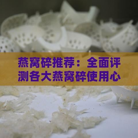 燕窝碎推荐：全面评测各大燕窝碎使用心得与选购指南