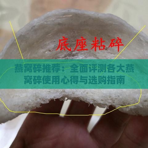 燕窝碎推荐：全面评测各大燕窝碎使用心得与选购指南