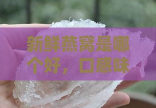 新鲜燕窝是哪个好，口感味道如何及价格对比分析