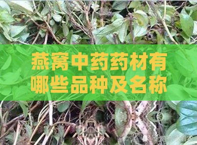 燕窝中药药材有哪些品种及名称一览