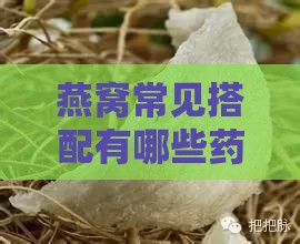 燕窝常见搭配有哪些药材及食材？