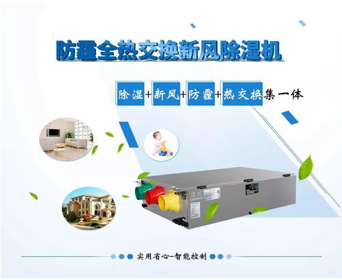 燕窝机评测：全面解析市面上热门燕窝机与选购指南