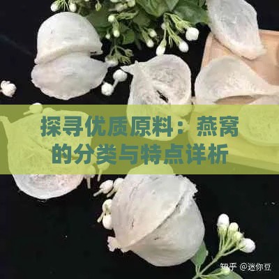 探寻优质原料：燕窝的分类与特点详析