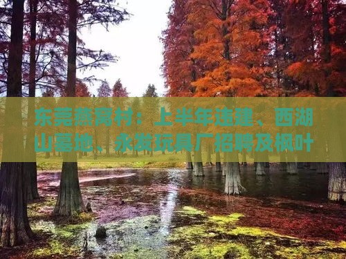 东莞燕窝村：上半年违建、西湖山墓地、永发玩具厂招聘及枫叶百货资讯一览