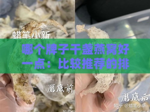 哪个牌子干盏燕窝好一点：比较推荐的排名与选购指南