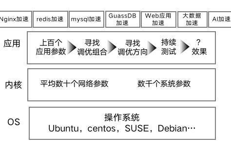 燕窝食用全方位指南：注意事项、搭配禁忌与更佳实践解析