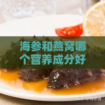 海参和燕窝哪个营养成分好一些吗：营养价值对比分析