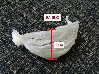 全面盘点：市面上主流天然燕窝一览及选购指南