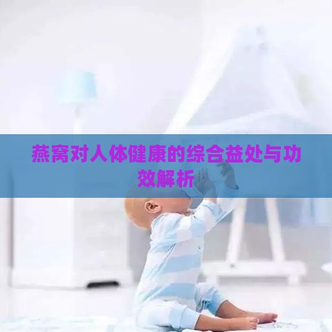 燕窝对人体健康的综合益处与功效解析