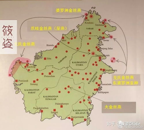 印尼燕窝更佳产地指南：探寻顶级燕窝的地理位置与品质特点