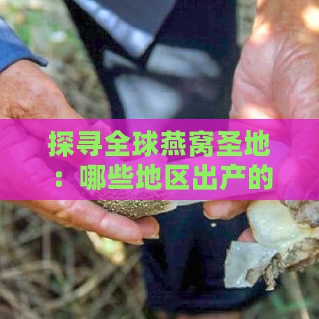 探寻全球燕窝圣地：哪些地区出产的燕窝口感最为鲜美