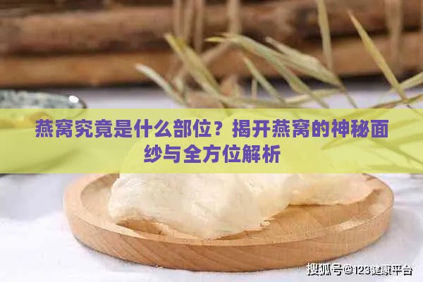 燕窝究竟是什么部位？揭开燕窝的神秘面纱与全方位解析