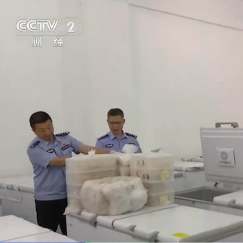 橙汁燕窝的功效与作用：全方位解析其对健康的影响与益处