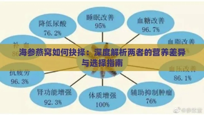 海参与燕窝价格对比：全面解析两者的市场价值与性价比