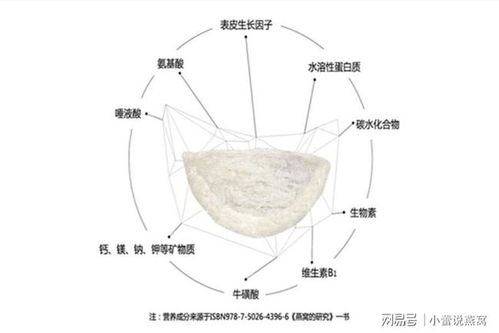 揭秘燕窝中的多重活性因子：从表皮生长因子到神经保护成分的全面解析