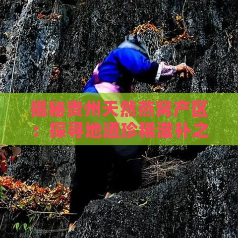 揭秘贵州天然燕窝产区：探寻地道珍稀滋补之源