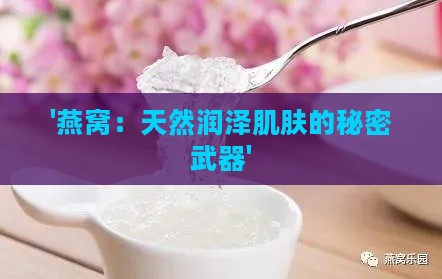 '燕窝：天然润泽肌肤的秘密武器'