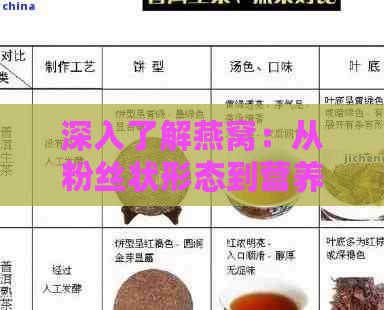 深入了解燕窝：从粉丝状形态到营养功效与挑选指南