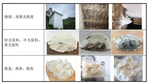 燕窝的真实成分及其具体构成详解