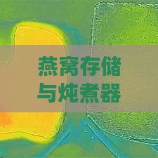 燕窝存储与炖煮器皿材质精选：探寻知名及其特色材质