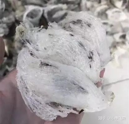 天然燕窝特点有哪些呢：揭秘其功效与本质