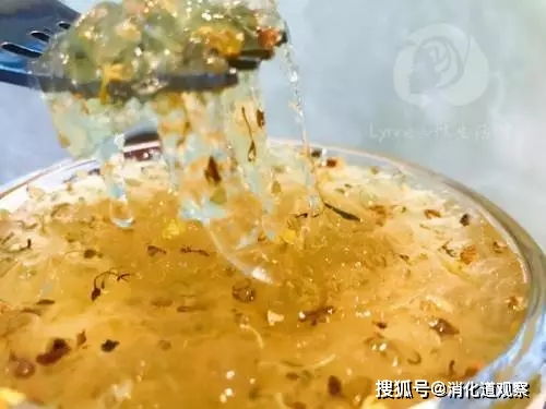 黑枸杞与燕窝哪个好些：比较营养与搭配，燕窝可否与黑枸杞同食？