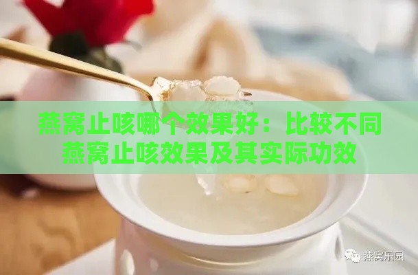 燕窝止咳哪个效果好：比较不同燕窝止咳效果及其实际功效